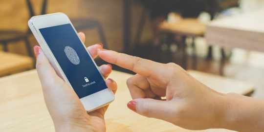 Digital Fingerprinting